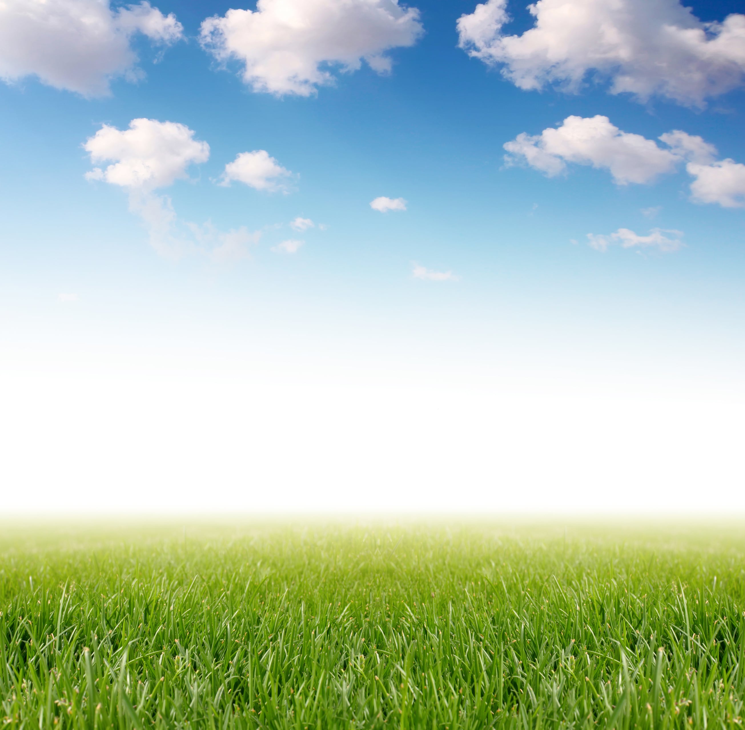 Grass under Cloudy Sky